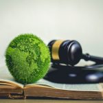 Tariffazione puntuale rifiuti