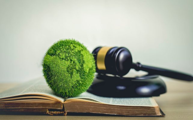 Tariffazione puntuale rifiuti